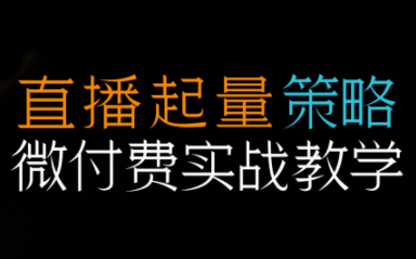 半野老师·直播带货起量与微付费必学课视频号(更新2026)