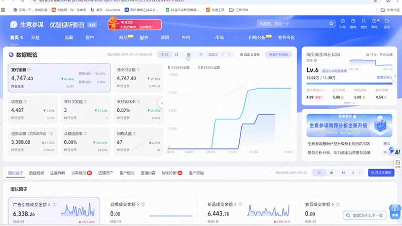 淘宝VIP特训课:蓝海选品+付费投放|短视频AI运营|大促起爆全流程,破解店铺无流量无利润难题