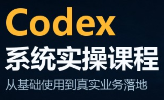 codex系统实操课程(更新10月)