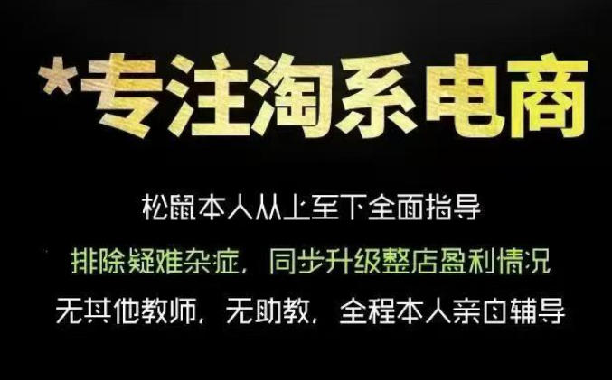 松鼠会电商VIP课程，从基础布局到高阶优化，助你掌握淘宝运营逻辑，提升店铺流量与转化(更新1015)
